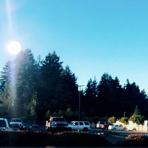 Meet your Posher, Nina